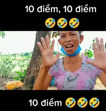 meme-10-diem